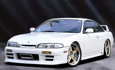 Behrman Type B Silvia